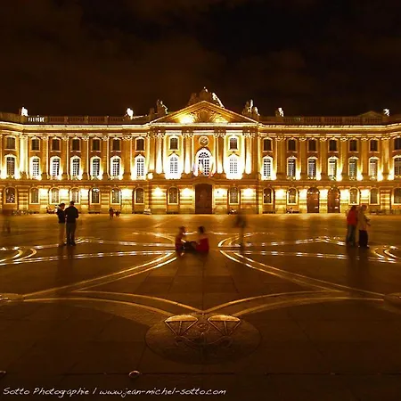 アパート Le Guilhemery - Canal Du Midi - Free Parking トゥールーズ
